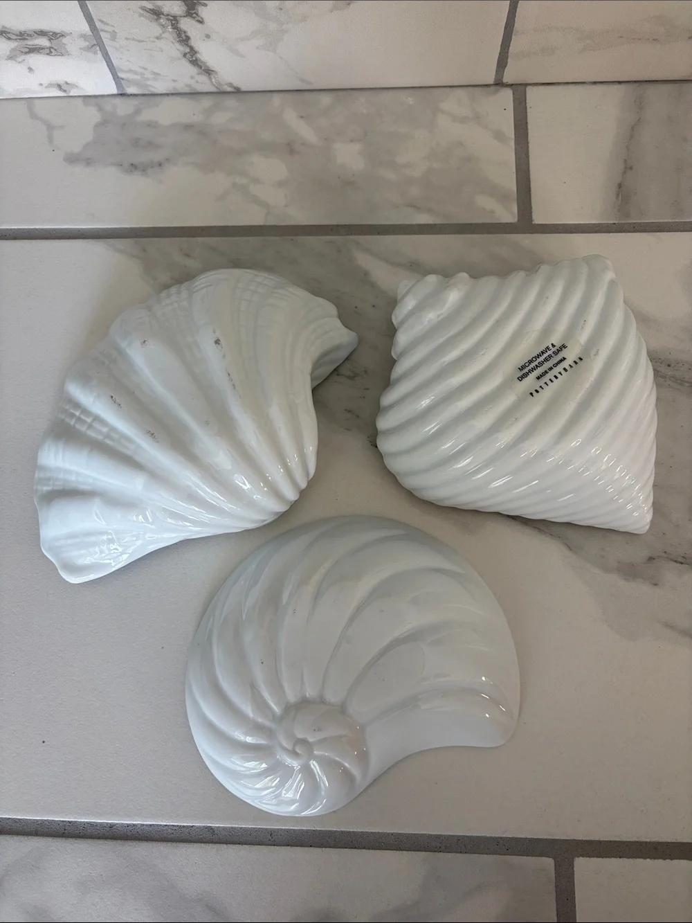 Pottery Barn Under the Sea Collection - Clamshell, Nautilus, Murex Conch